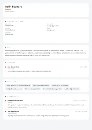Muhabir ve Kameraman Cv Örnekleri cv indir